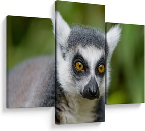 Tablou cu lemur (90x60 cm)