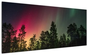 Tablou cu Northern Lights (120x50 cm)