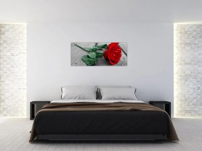 Tablou - Trandafir roșu cu tulpină verde (120x50 cm)