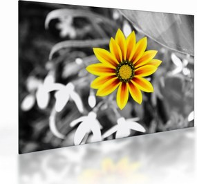 Tablou pe sticlă cu floare galbenă (70x50 cm)