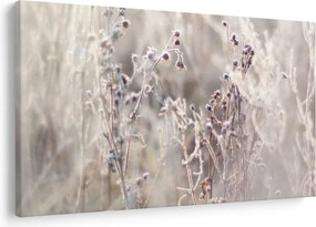 Tablou - Plante (90x60 cm)