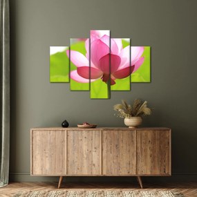 Tablou cu flori de lotus (150x105 cm)