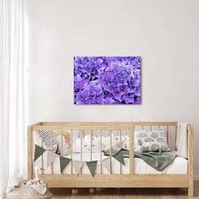 Tablou cu flori violete (70x50 cm)