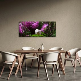 Tablou - Cochilie de melc (120x50 cm)