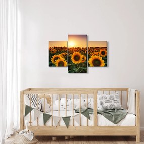 Tablou - Floarea soarelui (90x60 cm)
