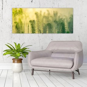 Tablou - Detaliu de primăvară natura cețoasă (120x50 cm)