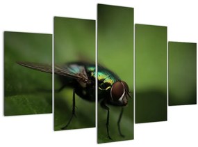 Tablou - Musca (150x105 cm)