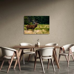 Tablou pe sticlă cu cerb (70x50 cm)