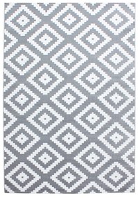 Covor gri deschis 80x150 cm Plus – Ayyildiz Carpets