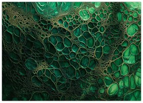 Tablou - Imagine microscopică verde (70x50 cm)