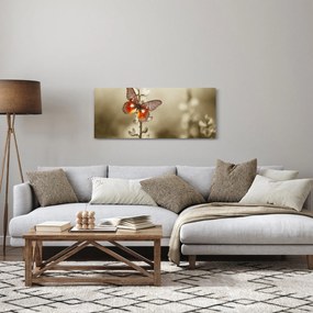Tablou cu fluture (120x50 cm)
