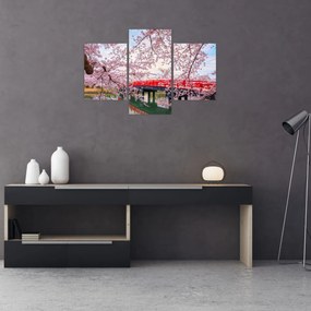 Tablou - Hirosaki, Japonia (90x60 cm)
