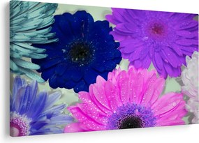 Tablou cu flori colorate (90x60 cm)