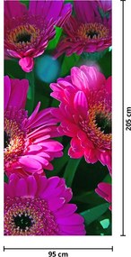 Fototapet pentru ușă - Flori (95x205cm)