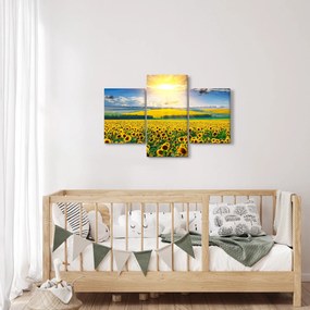 Tablou - Câmp cu floarea soarelui (90x60 cm)