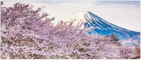 Tablou - Japonia în primăvară (120x50 cm)