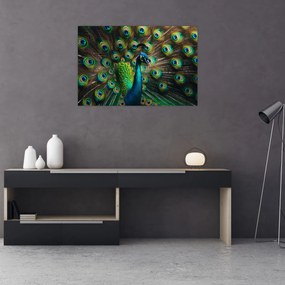 Tablou – Păun (90x60 cm)