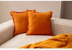 Fețe de pernă 2 buc. 43x43 cm Sacakli – Mioli Decor