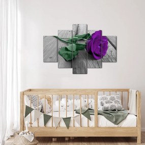 Tablou - Trandafir violet cu tulpina verde (150x105 cm)