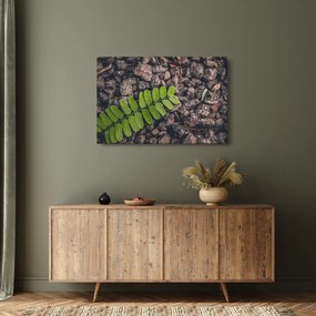 Tablou cu planta verde (90x60 cm)