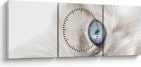 Tablou - Pisica cu ochi albaștri (cu ceas) (90x30 cm)
