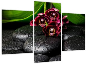 Tablou - Pietre de lavă (90x60 cm)