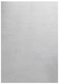Covor tip traversă gri deschis lavabil 80x250 cm Sky – Ayyildiz Carpets