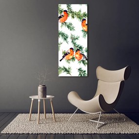 Fotografie imprimată pe sticlă Robin și conifere