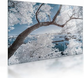 Tablou pe sticlă cu copac înzăpezit lângă apă (70x50 cm)