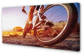 Tablouri canvas Rutier biciclete de munte vest