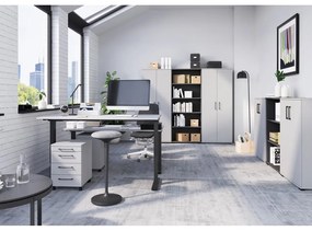 Birou reglabil 80x160 cm Agenda – Germania