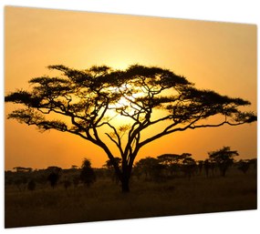 Tablou - Savana africană (70x50 cm)