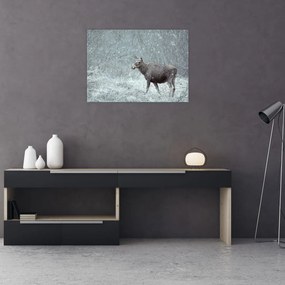 Tablou pe sticlă - Elan într-o pădure înzăpezită (70x50 cm)