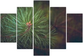 Tablou - Pin (150x105 cm)