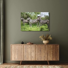 Tablou cu zebre (90x60 cm)