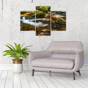 Tablou cu părâu (90x60 cm)