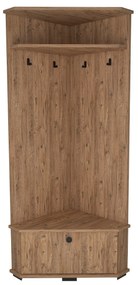 Cuier cu pantofar Colt Aselna cu Usa si rafturi, 84 x 177 x 51 cm