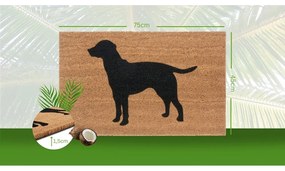 Covoraș de intrare 45x75 cm Mix Mats – Hanse Home