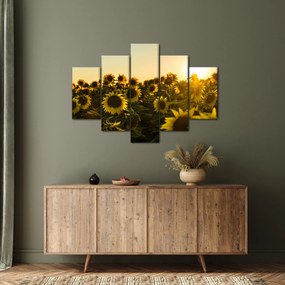 Tablou cu lan de floarea soarelui (150x105 cm)