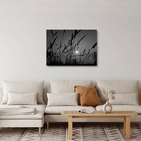 Tablou pe sticlă - Pajiște cu apus de soare (70x50 cm)