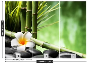 Fototapet frangipani Bamboo
