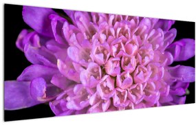 Tablou detailat cu floare (120x50 cm)