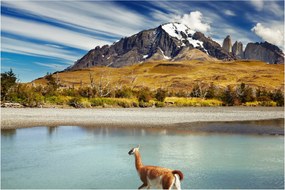 Tablou - Parcul Național Torres del Paine (90x60 cm)