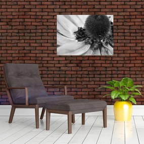Tablou pe sticlă - Floare în alb-negru (70x50 cm)