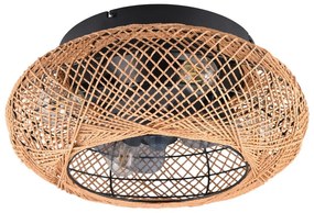 Plafonieră maro cu control prin telecomandă, cu ventilator Lillesand – Trio