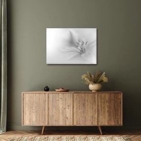 Tablou - Crin delicat (70x50 cm)