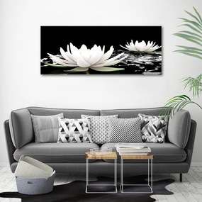 Print pe canvas Nuferi