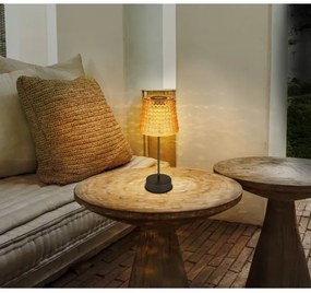 SET 2x corp de iluminat LED solar Globo 36634-2A SOLAR LED/0,06W/3V IP44 portocaliu