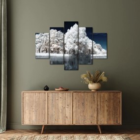 Tablou - Albă ca Zăpada Albă ca Zăpada Copaci (150x105 cm)