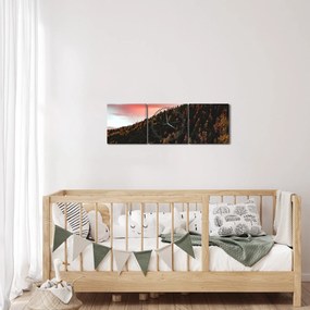 Tablou - Zori de zi (cu ceas) (90x30 cm)